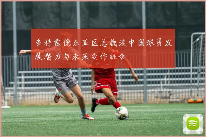 多特蒙德东亚区总裁谈中国球员发展潜力与未来合作机会